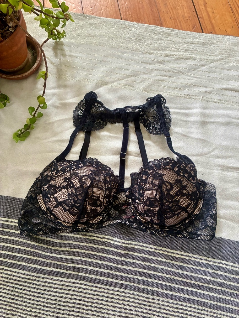 La Senza Sexy Push Up Bra With Lace Choker Collar